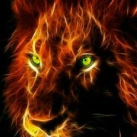 flameoftime45