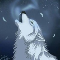 writer-from-forest