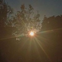 asya-august