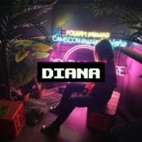 dina445678