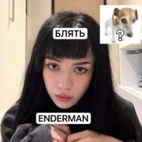 memny-kot