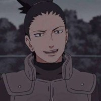 shikadaika