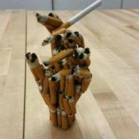 funnybunnyhs