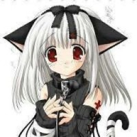 kitty-l0ve