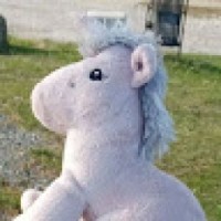 user35861862