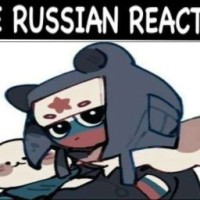 user44494409