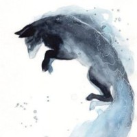 light-night163
