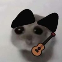 akkkgbb777