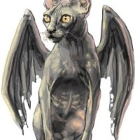 ruminiavi