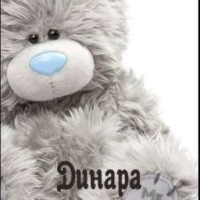 dinaraalikhanova