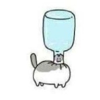 user26824855