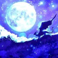 nightcvetok