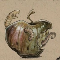 putrid-fruit