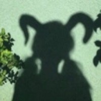 greengoat040