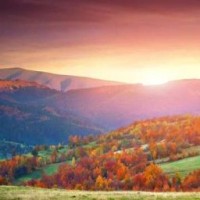 kanyoongi