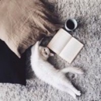 mycatsalad