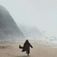 lisawarmwind