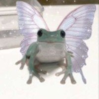 tiguanini