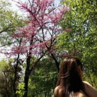 linara-n