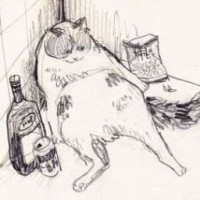 trinkencat