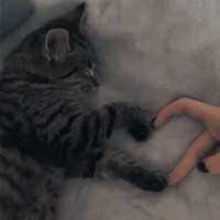 myrrr-01