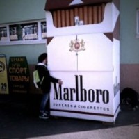 smoked-lungs