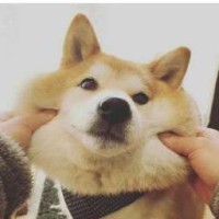 theunlucking