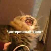 ksuy07