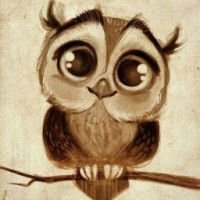 owl1212