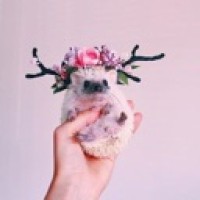 mistfl0wer