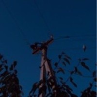 user93106525