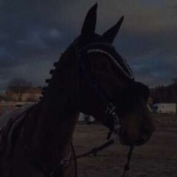 gela-ntvagen