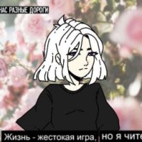 user06213547
