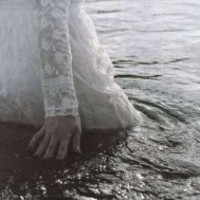 moonshine-thuder