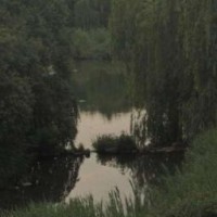 upolyakova