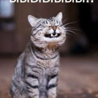 merlinlol