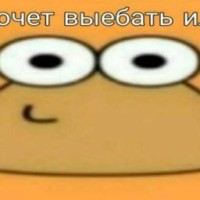 ihhhhhhhh78781