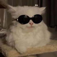 user14904871