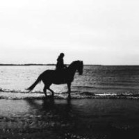 elpia-kenchin