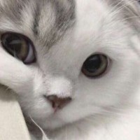katyaangel09