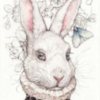 album-lepus