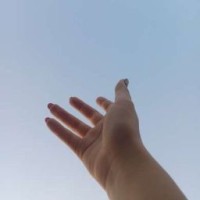 user07029304