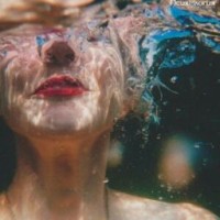 ms-stefanys