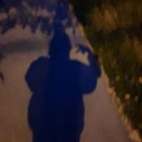 reve-d-amour