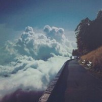 annsent-cler