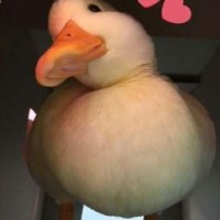 littlem0nster123