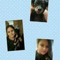 alisakissapets