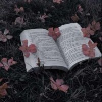 books2102083