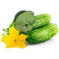 poko-loko