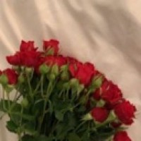 user824206053537
